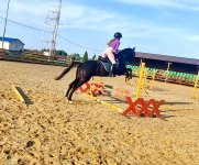 IMG_3860.jpeg