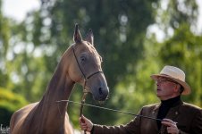 IMG_2682-Улучшено-Ум. шума.jpg