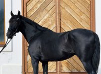 WhatsApp Image 2025-10-24 at 07.10.38.jpeg