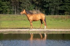 IMG_9833-Улучшено-Ум. шума copy.jpg