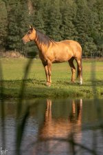 IMG_9770-Улучшено-Ум. шума.jpg