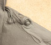 photo_2025-10-26 22.55.52.jpeg