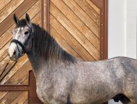 WhatsApp Image 2025-10-27 at 21.06.14.jpeg