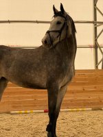 photo_2025-10-28 13.28.03.jpeg