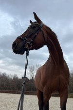 IMG_7330.jpeg IMG_7330.jpeg