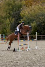 IMG_7318.jpeg IMG_7318.jpeg