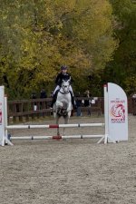 IMG_7317.jpeg IMG_7317.jpeg