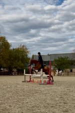 IMG_7314.jpeg IMG_7314.jpeg