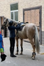 IMG_7003.jpeg IMG_7003.jpeg