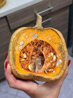 IMG_2592.jpeg IMG_2592.jpeg