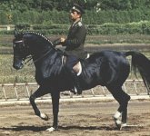 c451a0d3be3863b80ca0f445783b0891 (1).jpg