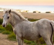 lh8jE8hEF8v0lUxwmW3ZXxdxfv6WOMo6nrmbcn1pH8q35FhXPIwDq4RMHTzjftcS (1) копия.jpg