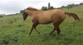 Снимок экрана 2025-11-07 051649.png