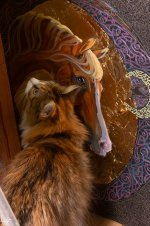 IMG_1581-Улучшено-Ум. шума.jpg