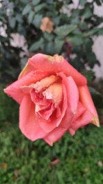 WhatsApp Image 2025-11-06 at 09.06.40.jpeg