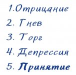 IMG_2875.jpeg IMG_2875.jpeg