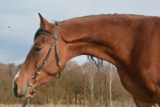 IMG-20251107-WA0006.jpg IMG-20251107-WA0006.jpg