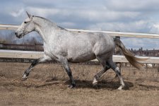 GEF_8616 копия.jpg