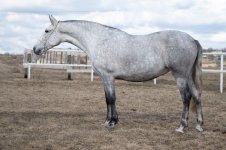 GEF_8506 копия.jpg