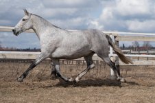 GEF_8615 копия.jpg