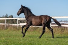 GEF_1919 копия.jpg