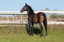 GEF_1945 копия.jpg