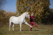 Screenshot 2025-11-20 at 4.36.34 PM.png