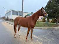 WhatsApp Image 2025-10-16 at 17.07.59.jpeg