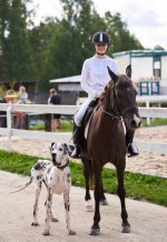 24Yy1WLWc0PlvPOw8XohdRLbsVddaTwVn5P3t6g2DE1Y2huGWCvrLWEZ4LyXK0YoOVJohu3M5OGPXnPGhizCMhq6 (1).jpg