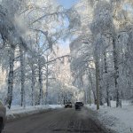 WhatsApp Image 2025-11-24 at 12.14.23-от Светы.jpg