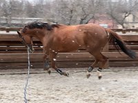 IMG_7738.jpeg IMG_7738.jpeg