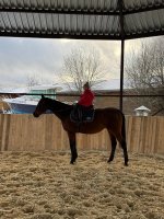 WhatsApp Image 2025-11-29 at 23.33.35.jpeg