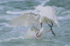 2025-11-29 14.58.46.jpg