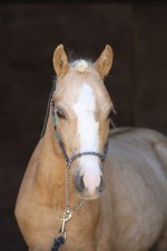 photo_2025-12-01_22-05-33 (4).jpg