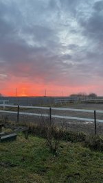 Декабрь закат.jpeg