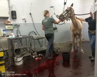 IMG_20230807_163534_335 (1).jpg