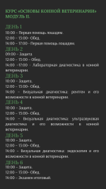 ветеринарный услуги (7).png