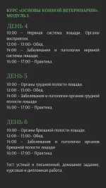 ветеринарный услуги (8).webp