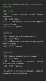 ветеринарный услуги (8).png