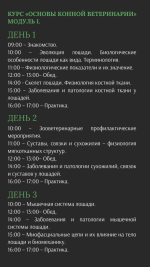 ветеринарный услуги (9).png