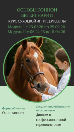 ветеринарный услуги (10).png