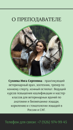 ветеринарный услуги (11).png