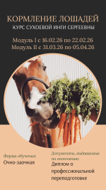 ветеринарный услуги (16).png