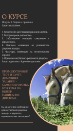 ветеринарный услуги (14).png