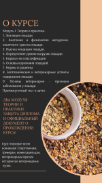 ветеринарный услуги (12).png