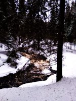 i (8).jpeg i (8).jpeg