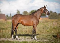 лавли эмоушен.jpg