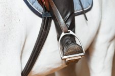 2020-09-23 13-12-35.JPG