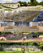 вакансия коновод.jpg