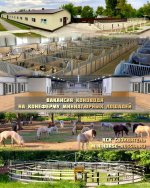 вакансия коновод.jpg